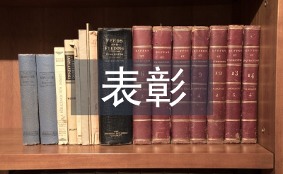 總經(jīng)理表彰發(fā)言稿