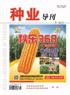 種業(yè)導(dǎo)刊雜志