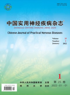 中國實(shí)用神經(jīng)疾病