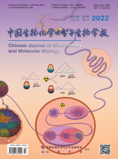 中國生物化學與分子生物學報雜志