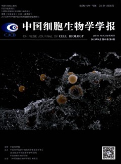 中國細(xì)胞生物學(xué)學(xué)報