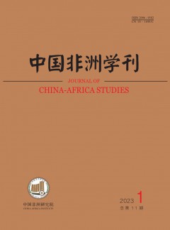 中國(guó)非洲學(xué)刊