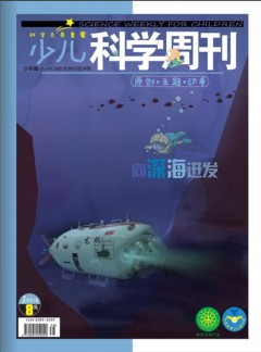 少兒科學周刊