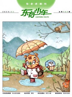 東方少年·布老虎畫刊